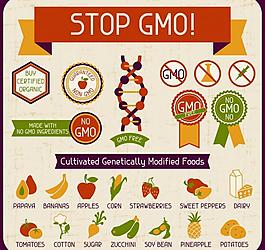 餐饮标签矢量素材图片