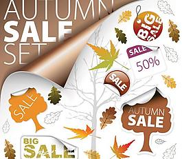 秋季销售标签矢量图标 枫叶 树叶标签图片