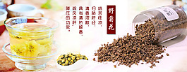 野菊花素材