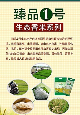 臻品一号