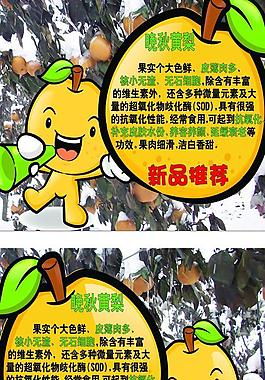 晚秋黄梨图片