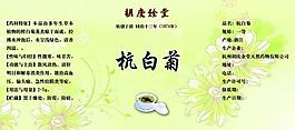 中药茶杭白菊标签图片