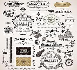 欧式花纹边框标签装饰矢量图片