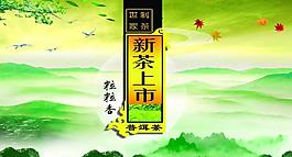 茶业图片