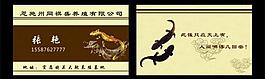 名片图片