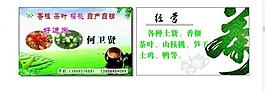 名片图片
