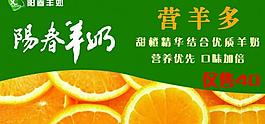 阳春羊奶海报图片