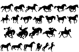 马奔跑动作分解图图片