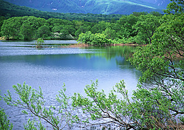 山水風景樹木圖片_山水風景樹木素材_山水風景樹木模板免費下載-六