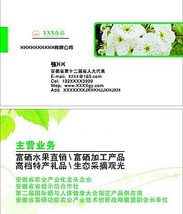 名片模版图片