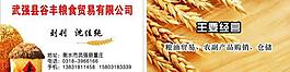粮食名片图片