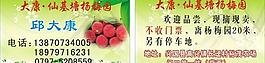 杨梅名片图片
