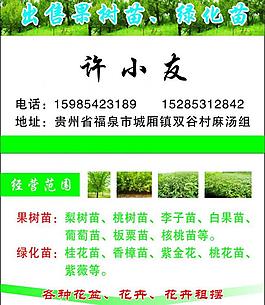 果树苗 绿化苗 名片图片