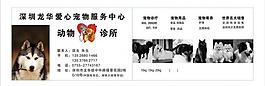 宠物店名片图片