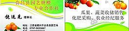 橘子名片图片