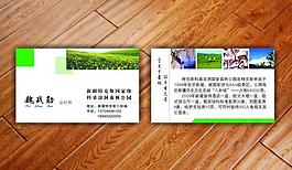旅游名片图片