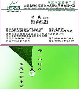 绿来福名片图片