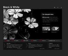 flash整站swf文件04图片