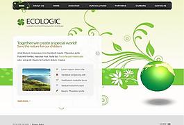 flahs网站设计图片