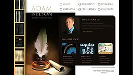 flahs网站设计图片