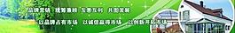 绿色banner图片