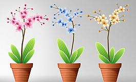 卡通花朵花盆图片