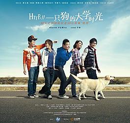 一只狗的大学时光图片