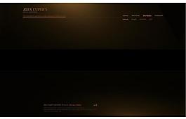 flahs网站设计图片