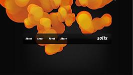 flahs网站设计图片