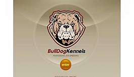 flahs网站设计图片