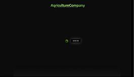 flahs网站设计图片