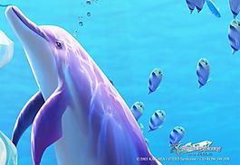 海底世界图片