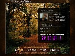 个人网站图片