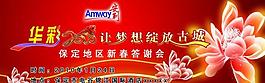 安利绽放门票图片