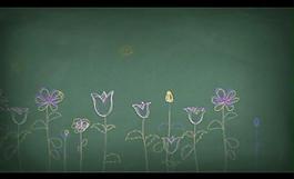 花朵背景视频素材图片