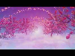 花朵背景视频素材图片