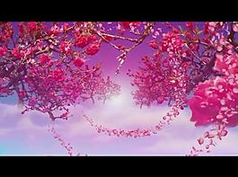 花朵背景视频素材图片