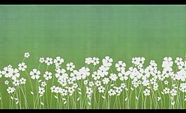 花朵背景视频素材图片