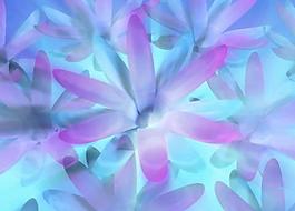 浓情婚礼背景图片