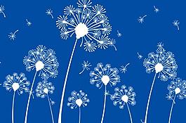 蒲公英笔刷图片