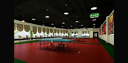 乒乓球室效果图图片