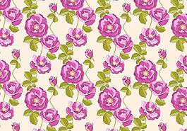 花朵背景图案图片