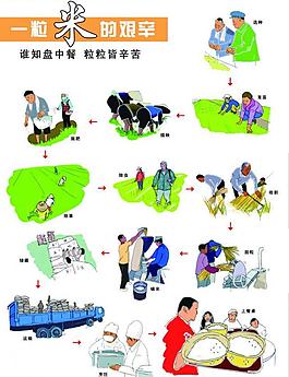 一粒米的艰辛图片