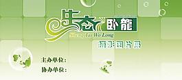 生态卧龙摄影展图片