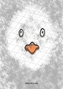 保护野生动物图片