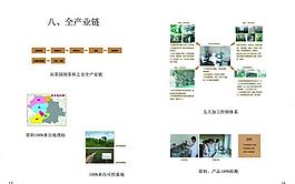 八马茶叶宣传册图片