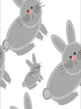 兔子 动物图片