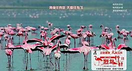 企业营销活动推广设计图片