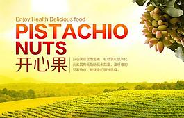 开心果 banner图片