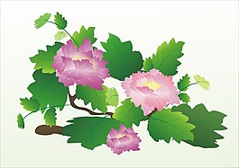 牡丹矢量素材